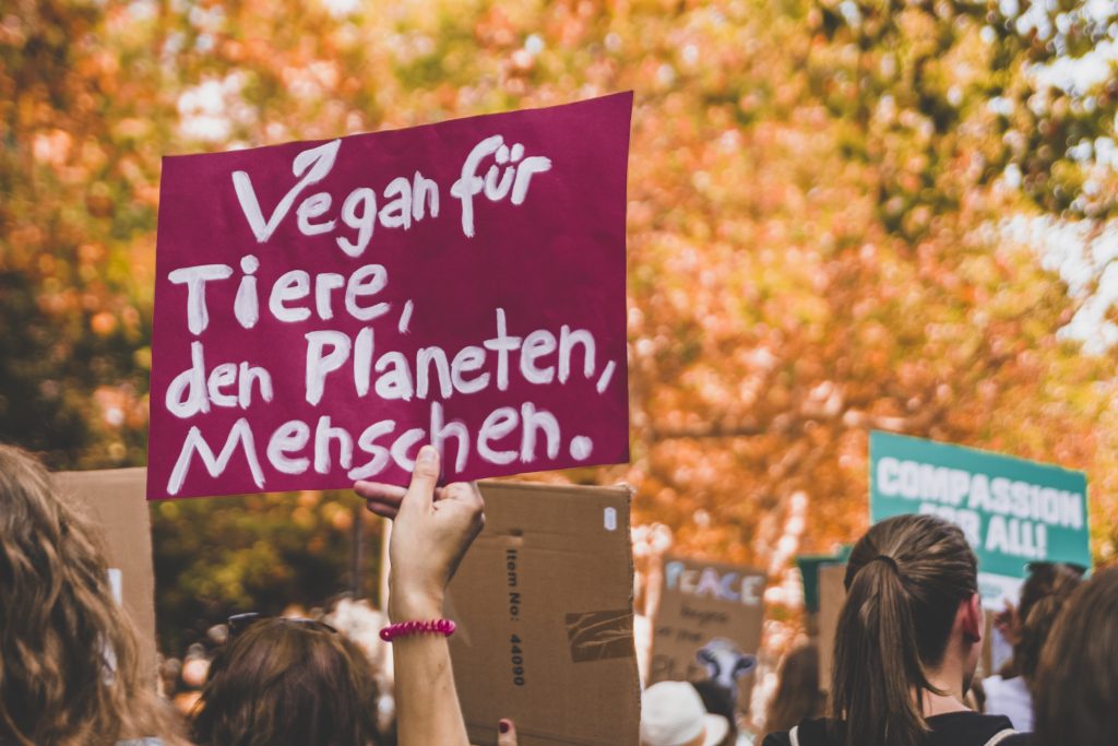 Berlin_vegan_fest
